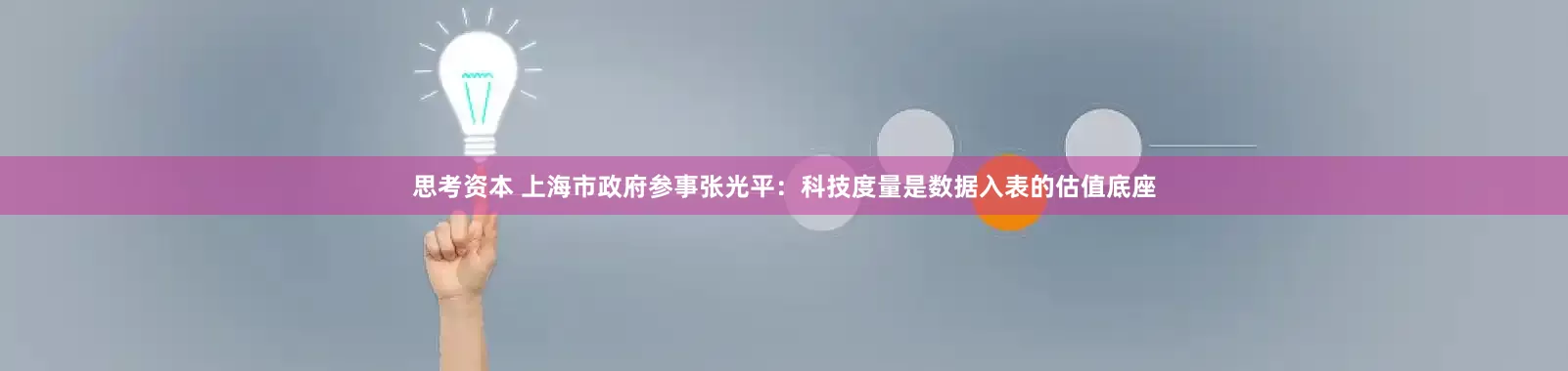 思考资本 上海市政府参事张光平：科技度量是数据入表的估值底座