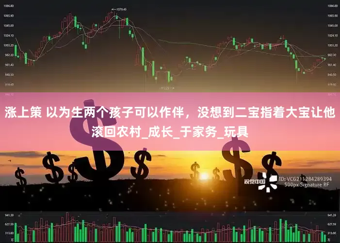 涨上策 以为生两个孩子可以作伴，没想到二宝指着大宝让他滚回农村_成长_于家务_玩具