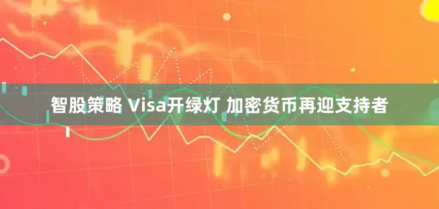 智股策略 Visa开绿灯 加密货币再迎支持者