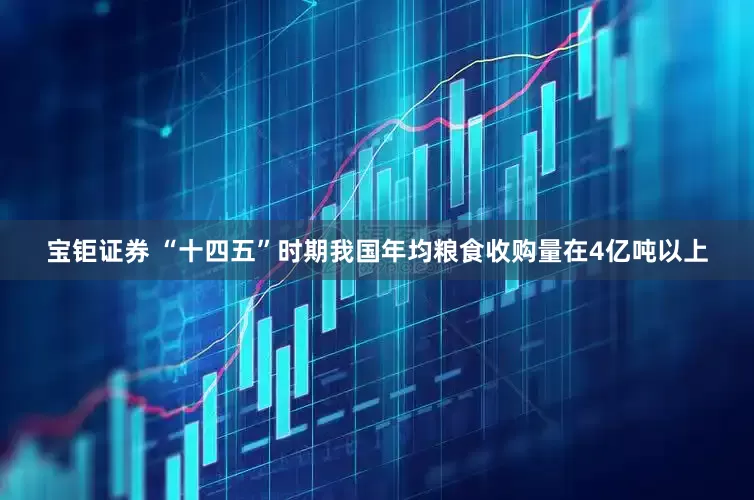宝钜证券 “十四五”时期我国年均粮食收购量在4亿吨以上